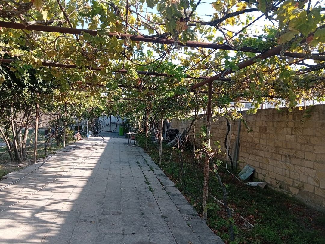 12 sot torpaq sahəsi, Pirşağı qəs. — Torpaq, Bakı (6)