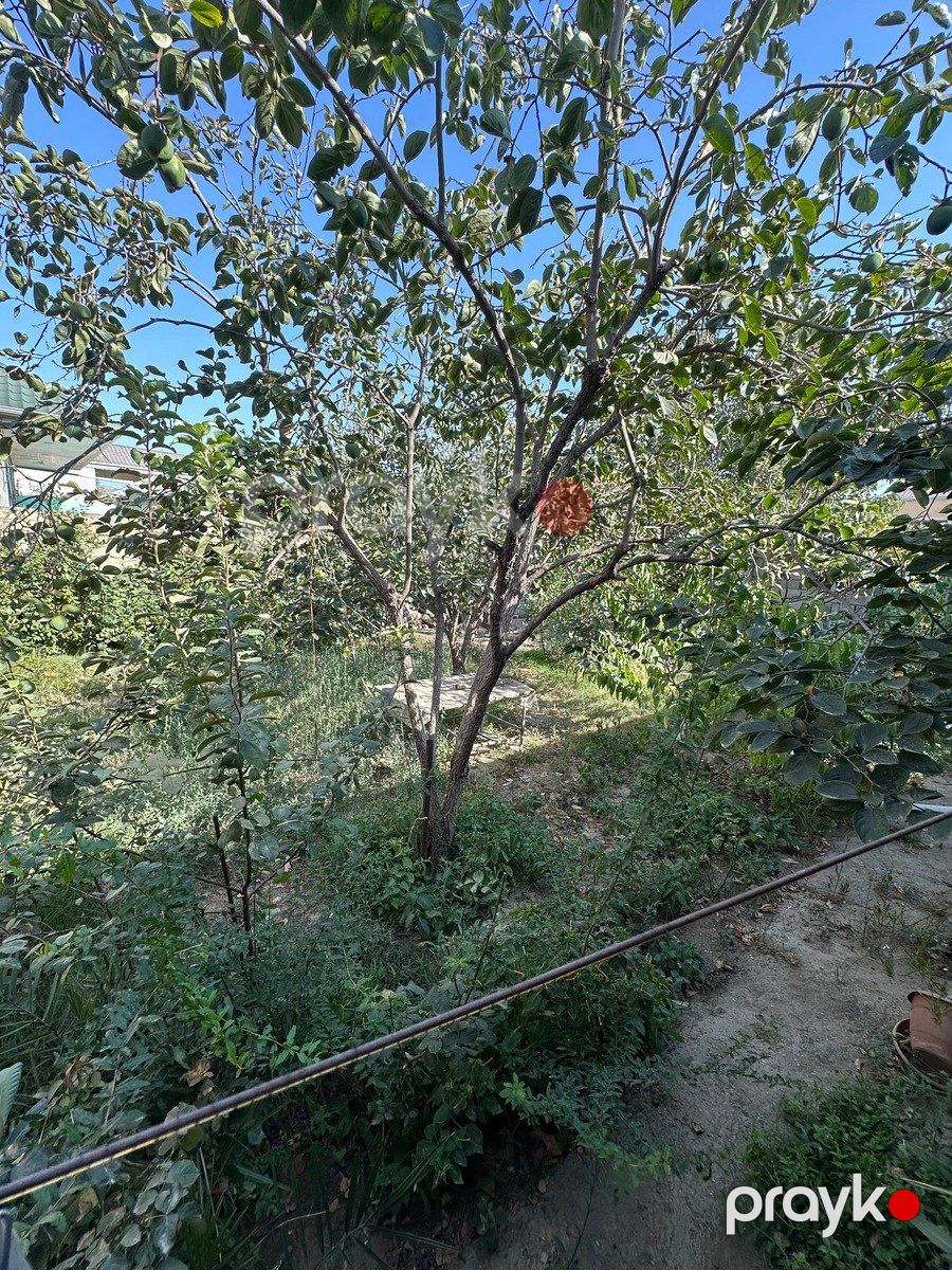 Həyət evi, Binəqədi qəs. — Ev, villa, Bakı (4)