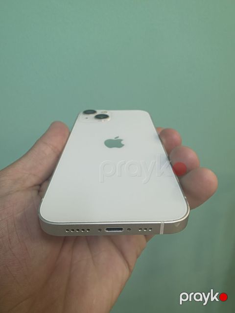 IPhone 13, Ağ