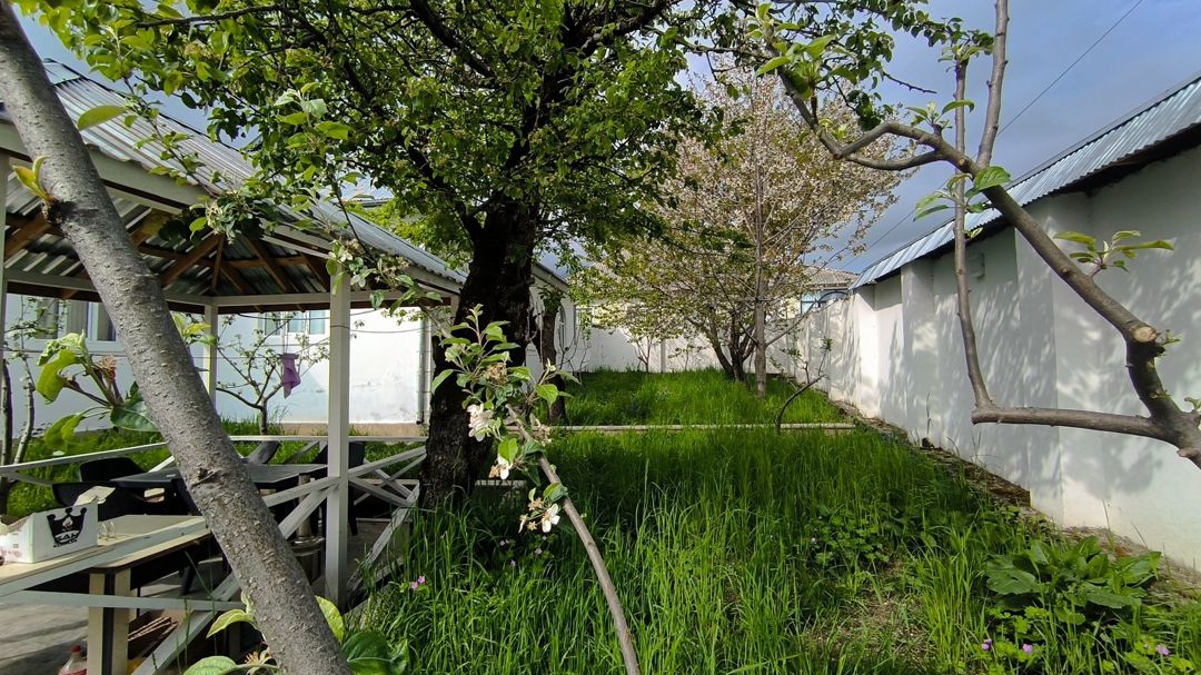Satılır 2 otaqlı həyət evi/bağ evi 118 m² — Ev, villa, Qəbələ (2)