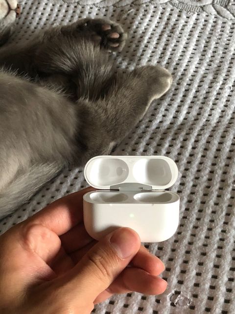 Apple Airpods Pro 2 Type-C