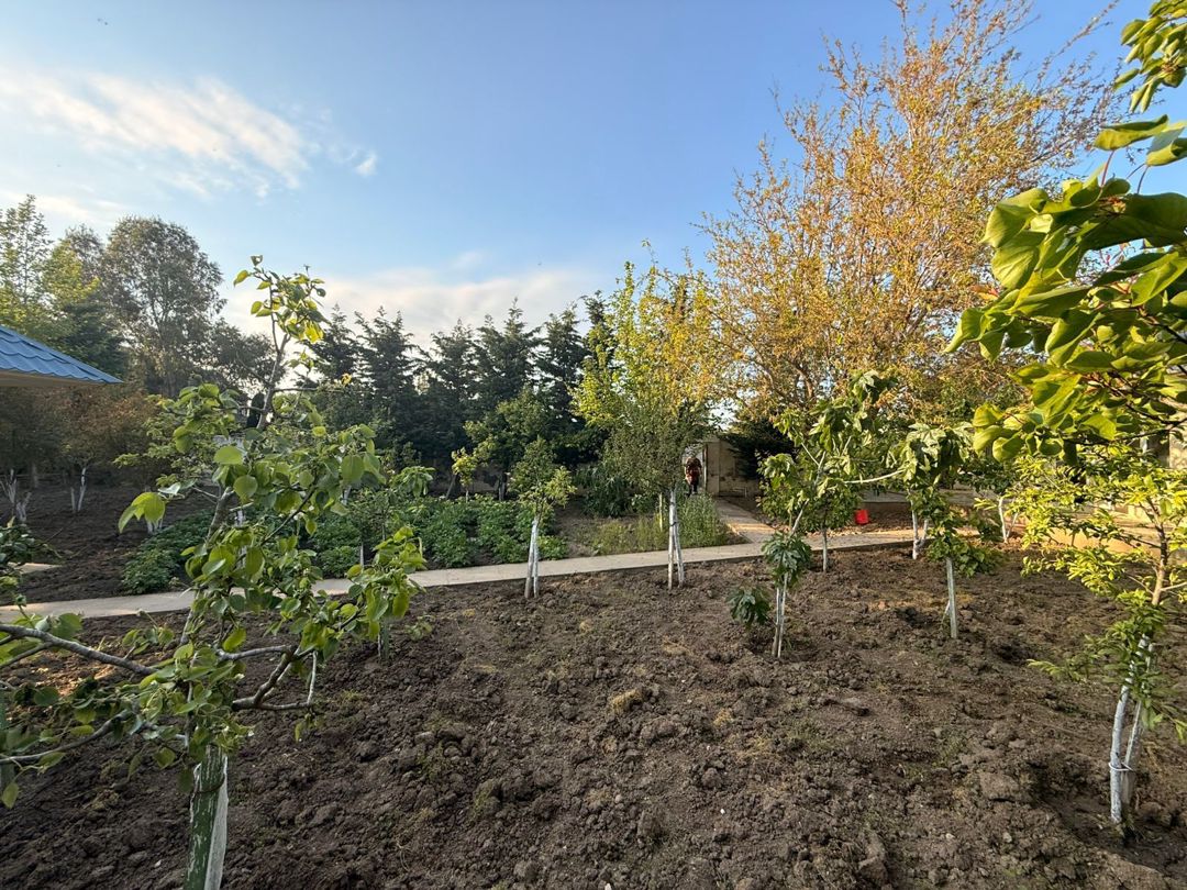 Satılır torpaq 28 sot — Torpaq, Bakı (6)