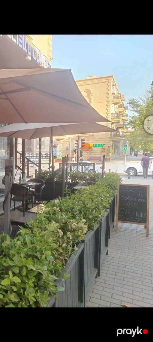 Dibçək — Bitkilər, Bakı (4)