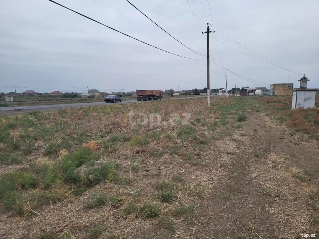 58 sot torpaq sahəsi, Cəlilabad r. — Torpaq, Cəlilabad (4)