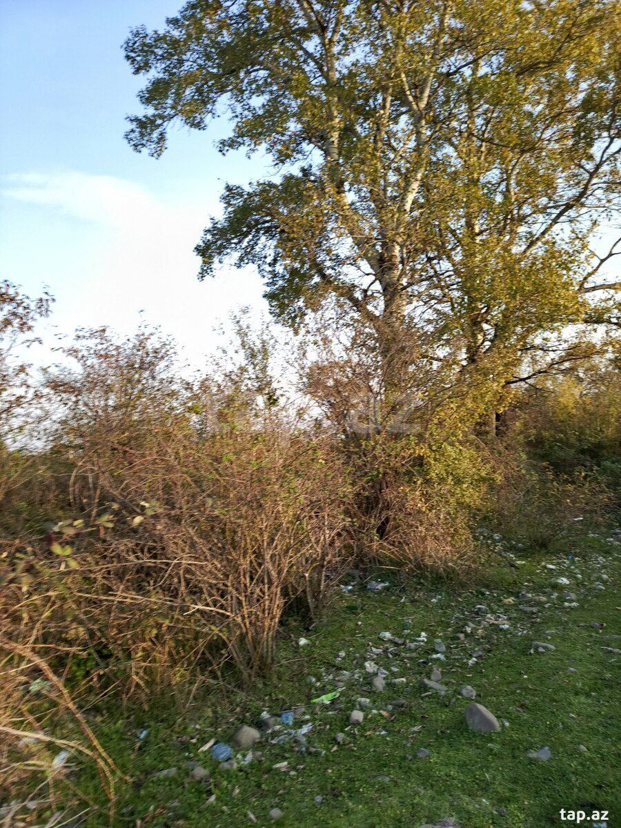 24 sot torpaq sahəsi, Oğuz r. — Torpaq, Oğuz (4)