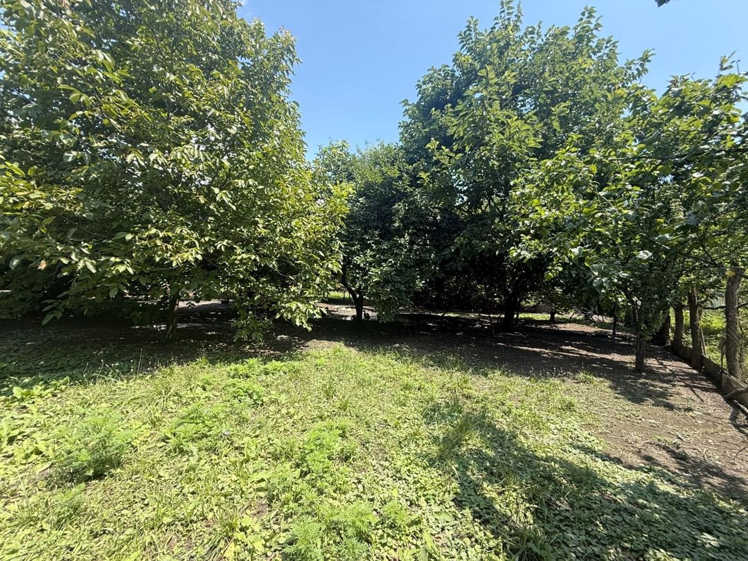 Satılır 4 otaqlı həyət evi/bağ evi 107.1 m² — Ev, villa, Zaqatala (11)
