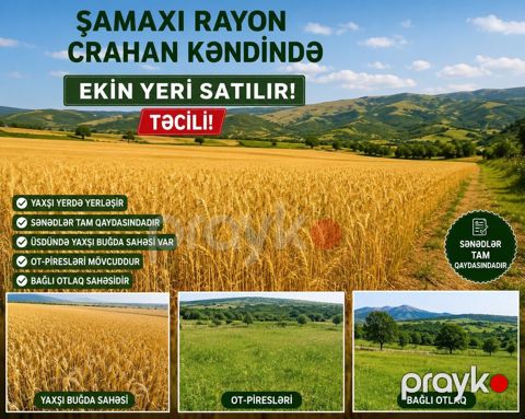 Ekin ücün el verişlidi rayonla arasi 5 deyqedi