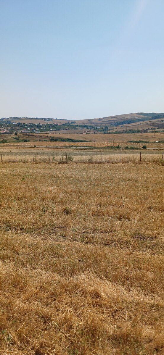 220 sot torpaq sahəsi, Şamaxı r. — Torpaq, Şamaxı (6)