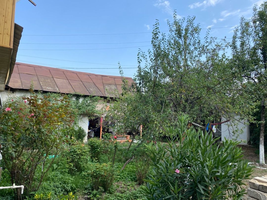 Həyət evi kirayə verilir, Qəbələ ş. — Ev, villa, Qəbələ (5)