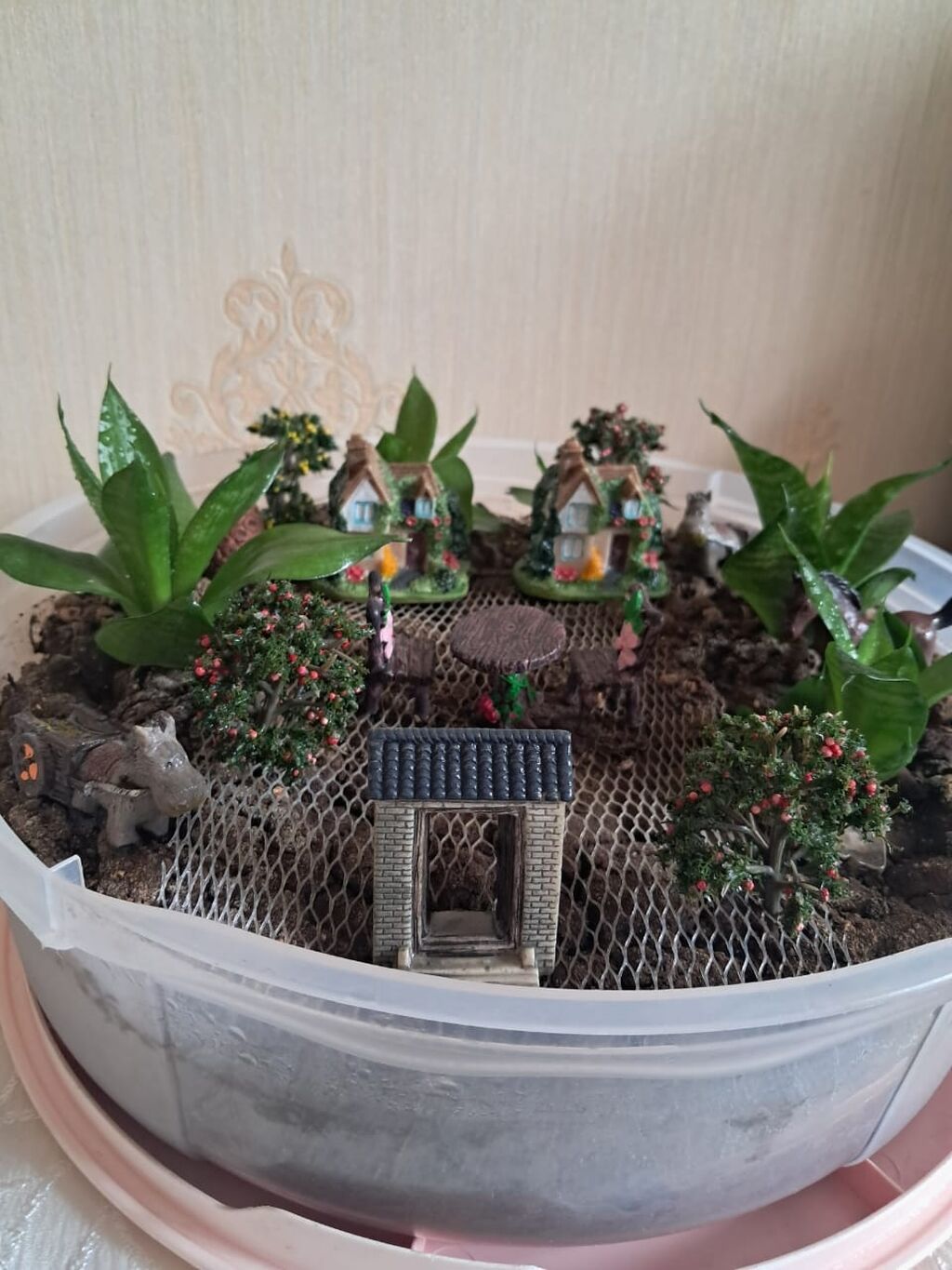 Mini bağ-teraryum kompozisiyası - Dairəvi şəffaf qabda hazırlanmış — Bağ dekorasiyası, Bakı (2)