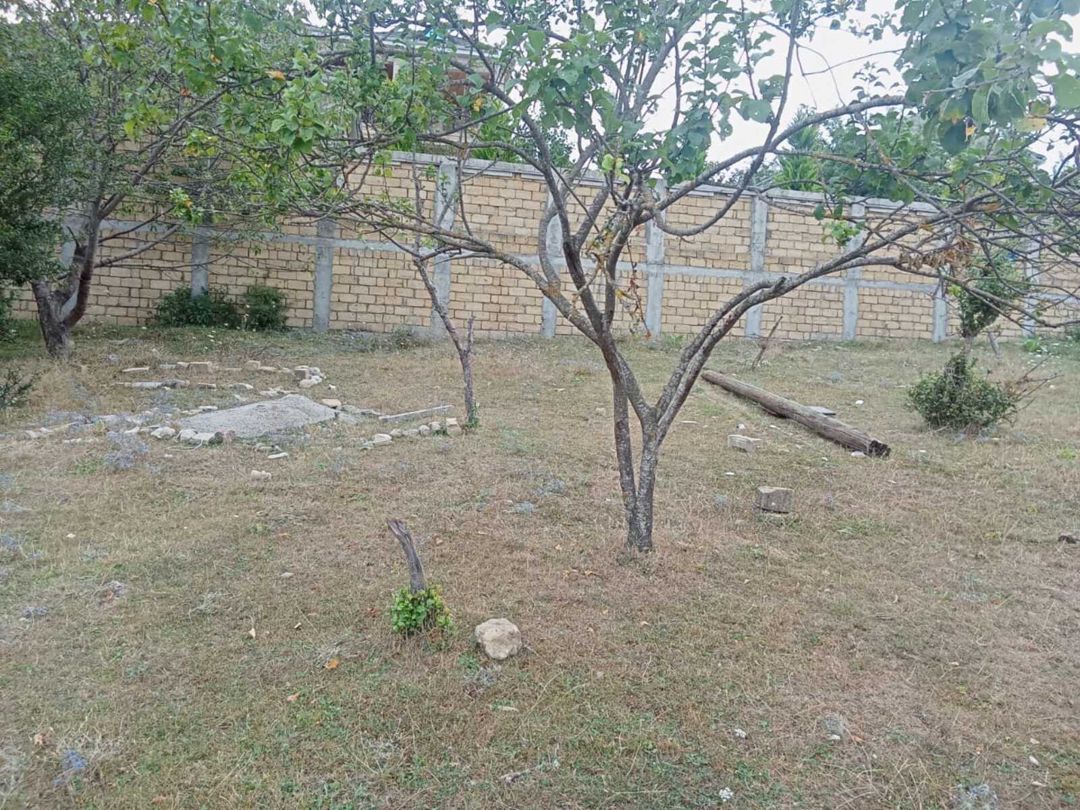 Satılır torpaq 9 sot — Torpaq, Şamaxı (2)