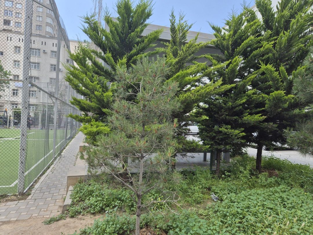 Satılır 2 otaqlı köhnə tikili 52 m² — Mənzil, Bakı