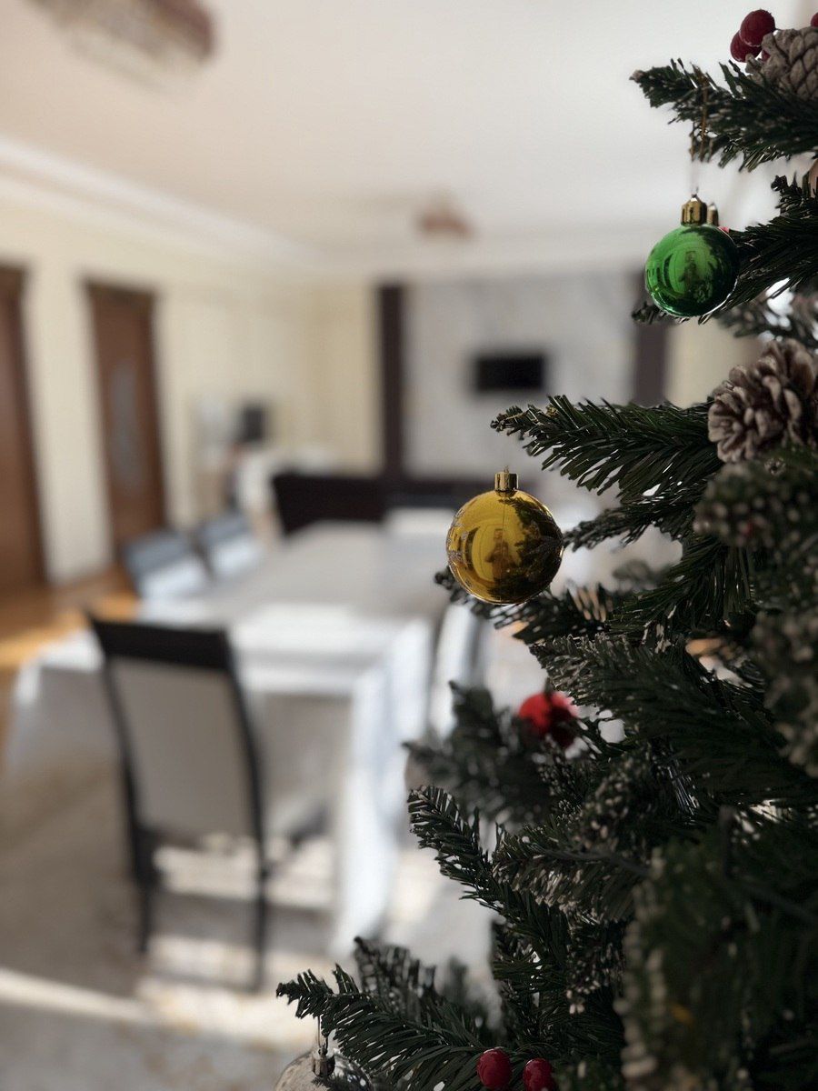 İcarəyə verilir 4 otaqlı həyət evi/bağ evi 150 m² — Ev, villa, Qəbələ (7)