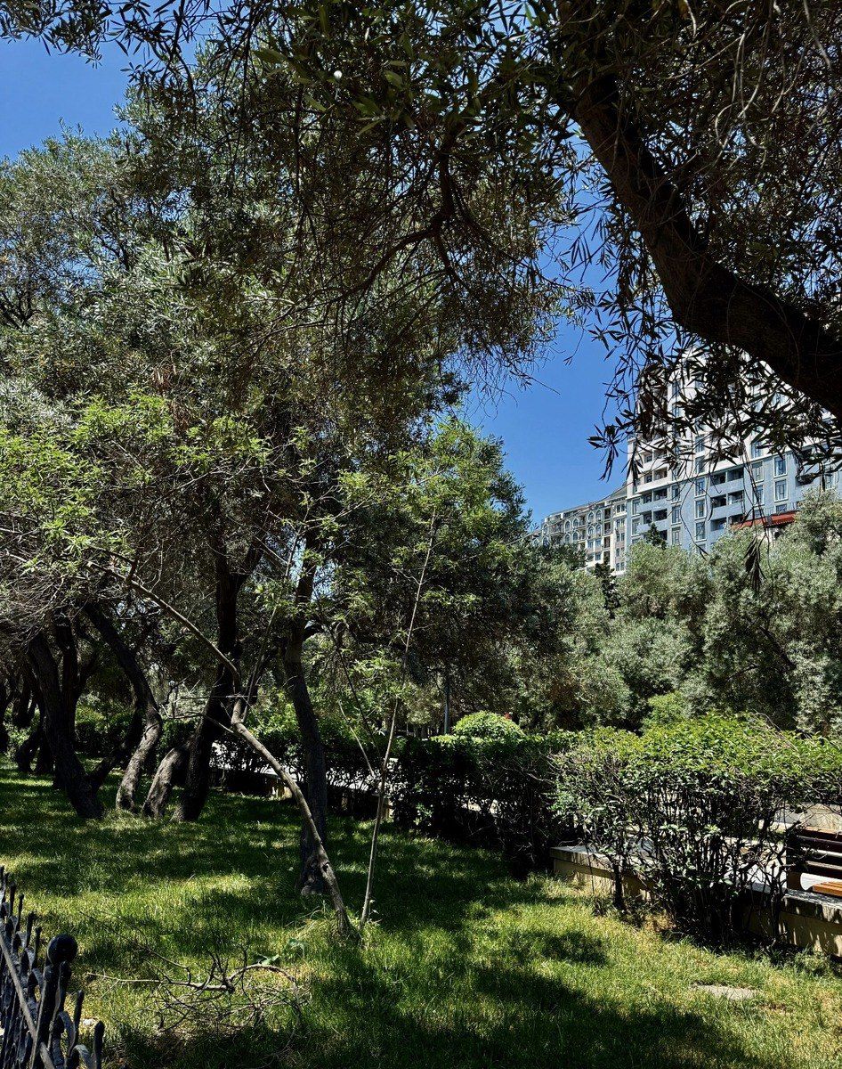Satılır 1 otaqlı yeni tikili 51 m² — Mənzil, Bakı (3)
