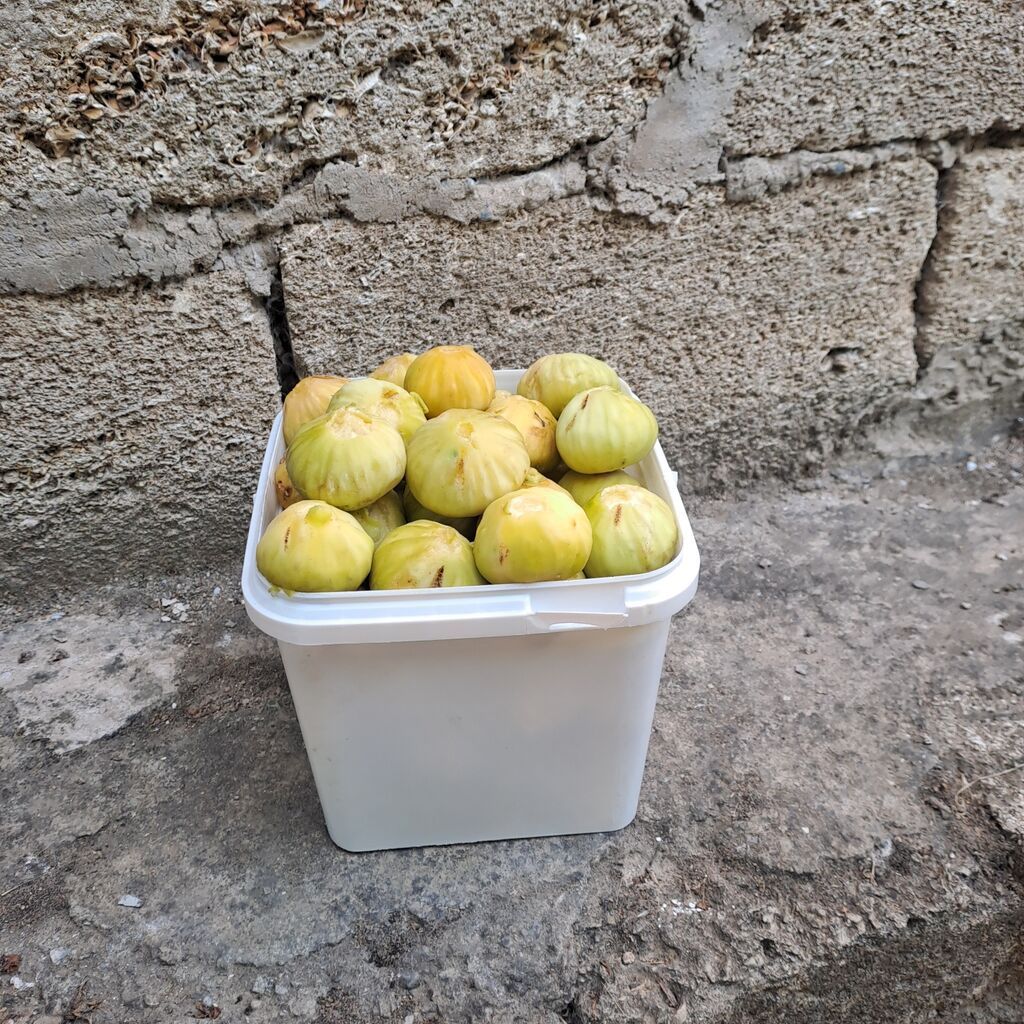 Baki Buzovna Enciri.Chatdirilma odeniwli — Qida məhsulları, Digah