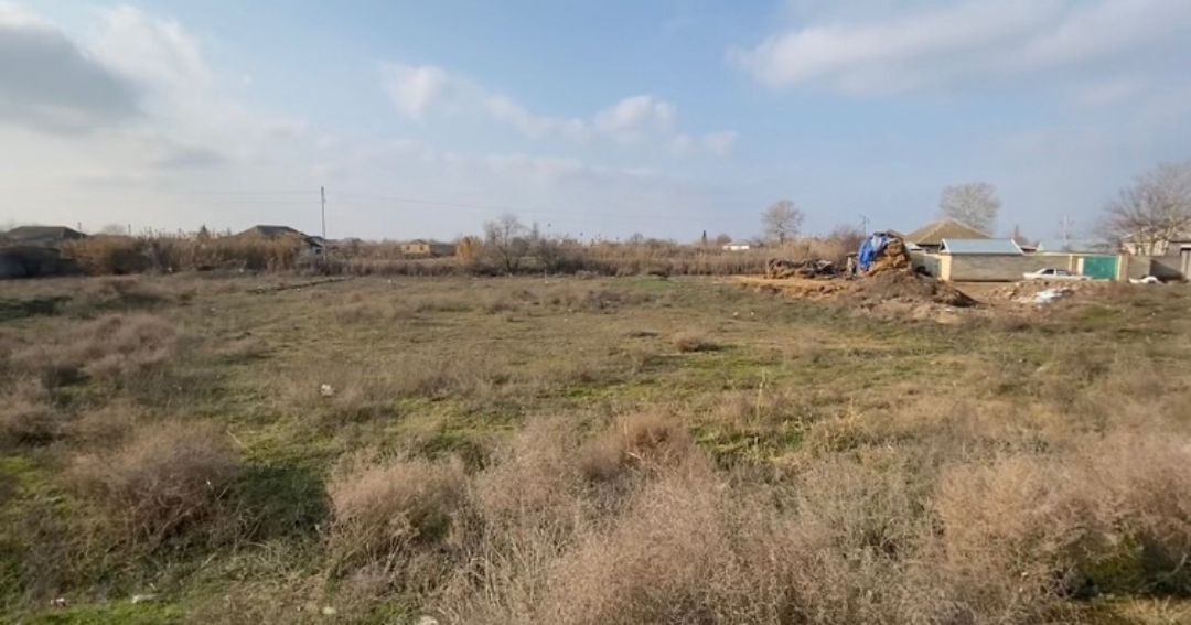 12 sot torpaq sahəsi, İmişli r. — Torpaq, İmişli (2)