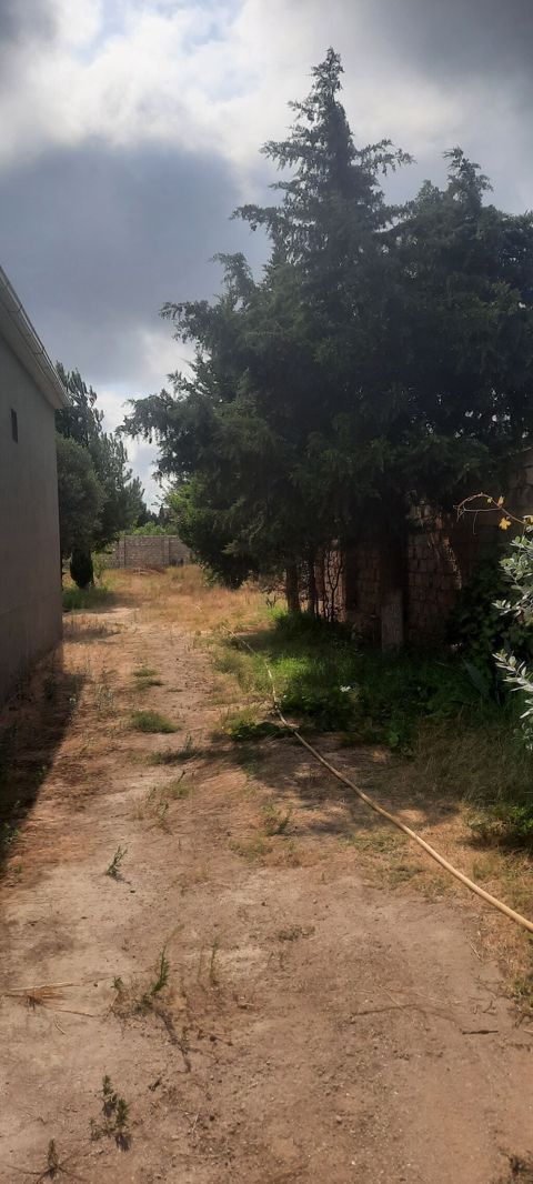 9 sot, Tikinti, Kupça (Çıxarış)