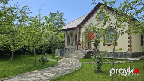Həyət evi kirayə verilir, Qəbələ ş — Qəbələ