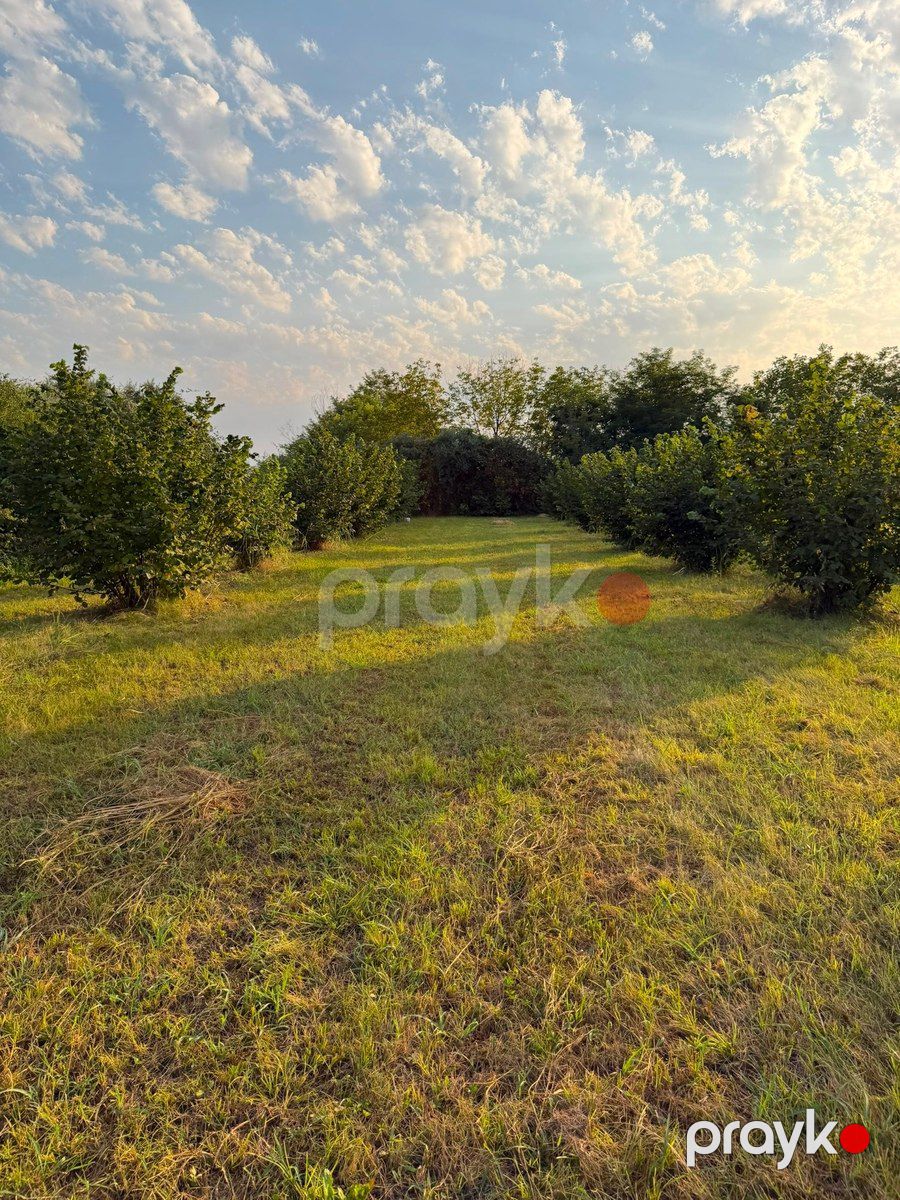 70 sot torpaq sahəsi, Zaqatala r — Torpaq, Zaqatala (7)