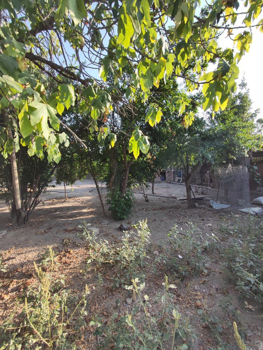 Bağ evi, Şirvan ş. — Ev, villa, Şirvan (4)