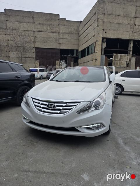Hyundai Sonata 2010-2014 duman farası — Bakı