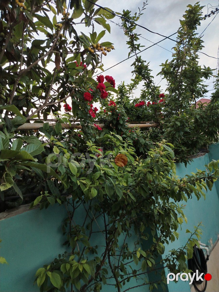 Satılır 3 otaqlı həyət evi/bağ evi 80 m² — Ev, villa, Bakı (6)