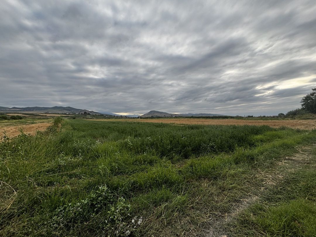 189 sot torpaq sahəsi, Quba r. — Torpaq, Şabran (3)