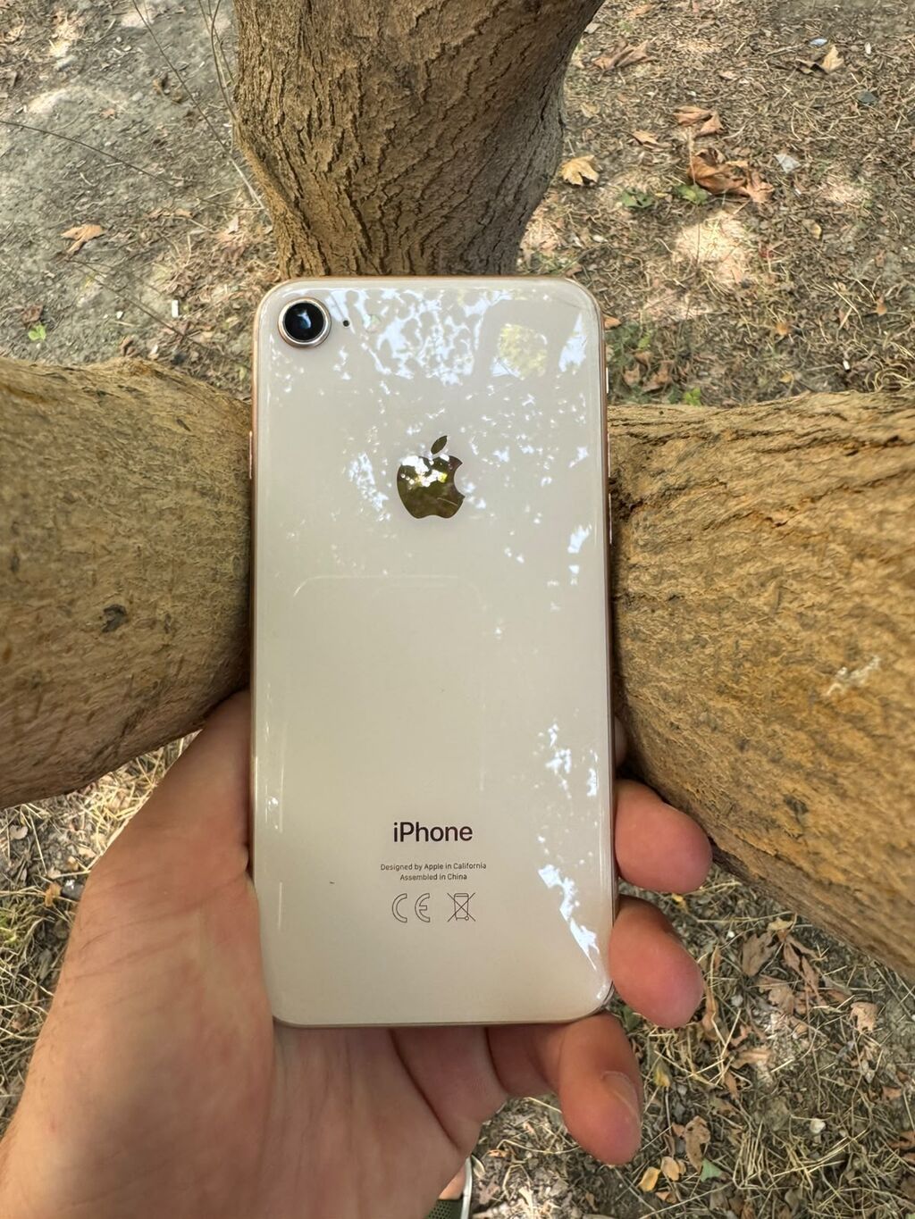 IPhone 8, 64 GB, Qızılı — Apple iPhone, Bakı
