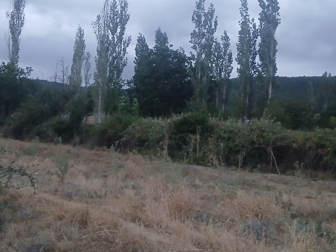 12 sot torpaq sahəsi, Şamaxı r. — Torpaq, Şamaxı (4)