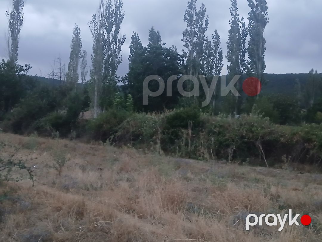12 sot torpaq sahəsi, Şamaxı r — Torpaq, Şamaxı (4)