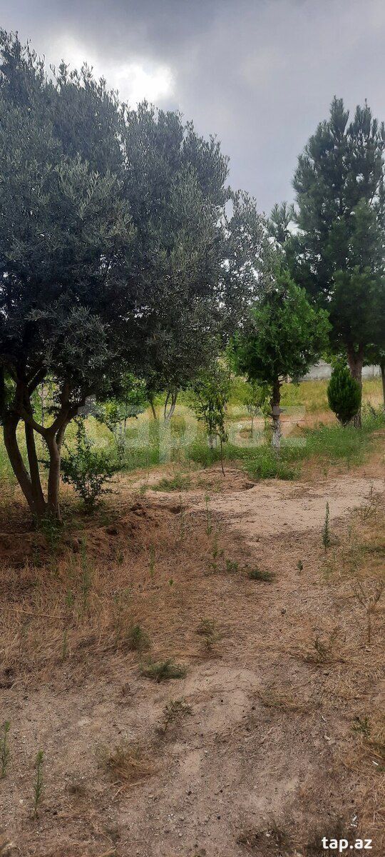 9.5 sot torpaq sahəsi, Buzovna qəs. — Torpaq, Bakı