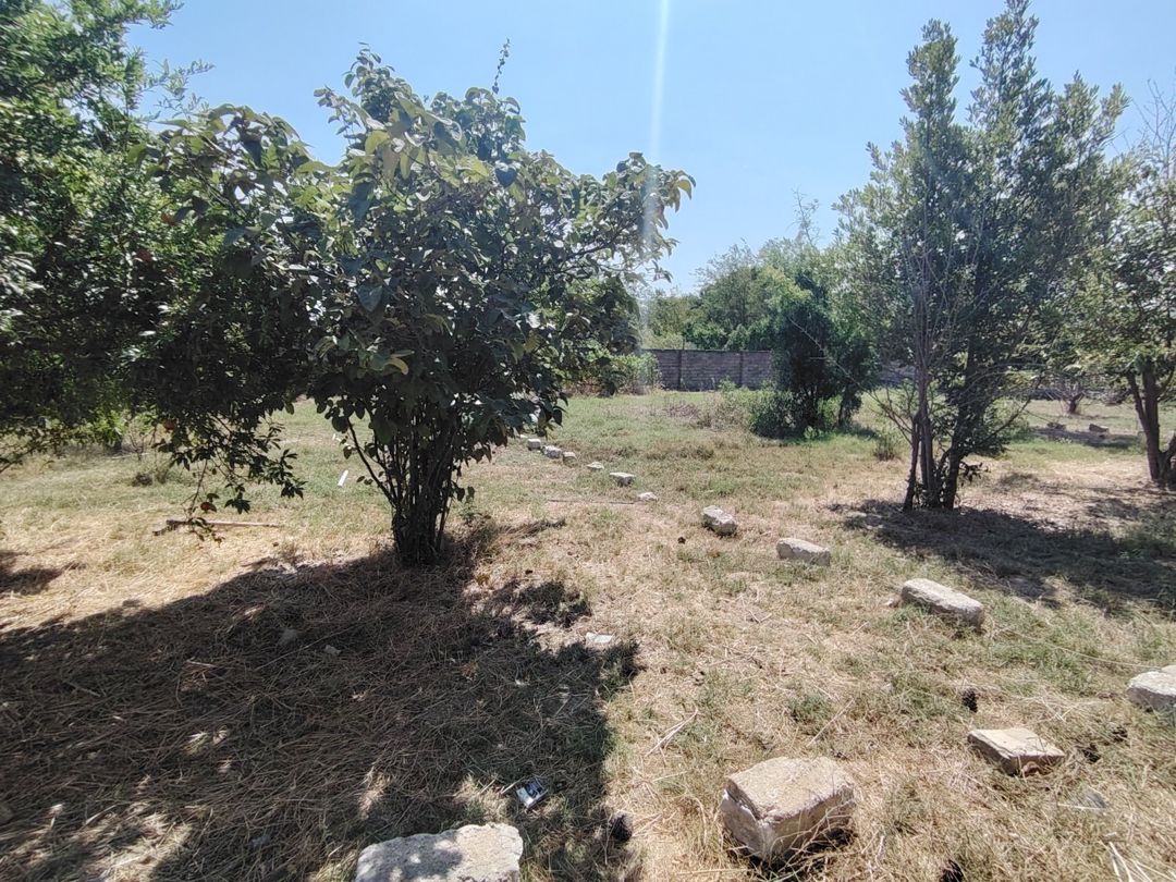 12 sot torpaq sahəsi, Maştağa qəs. — Torpaq, Bakı