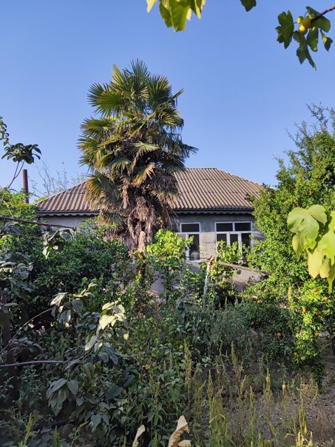Bağ evi, Şirvan ş.
