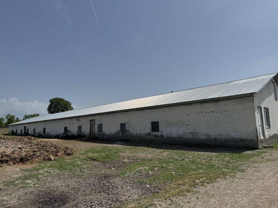 10000 sot torpaq sahəsi, Oğuz r. — Torpaq, Oğuz (10)
