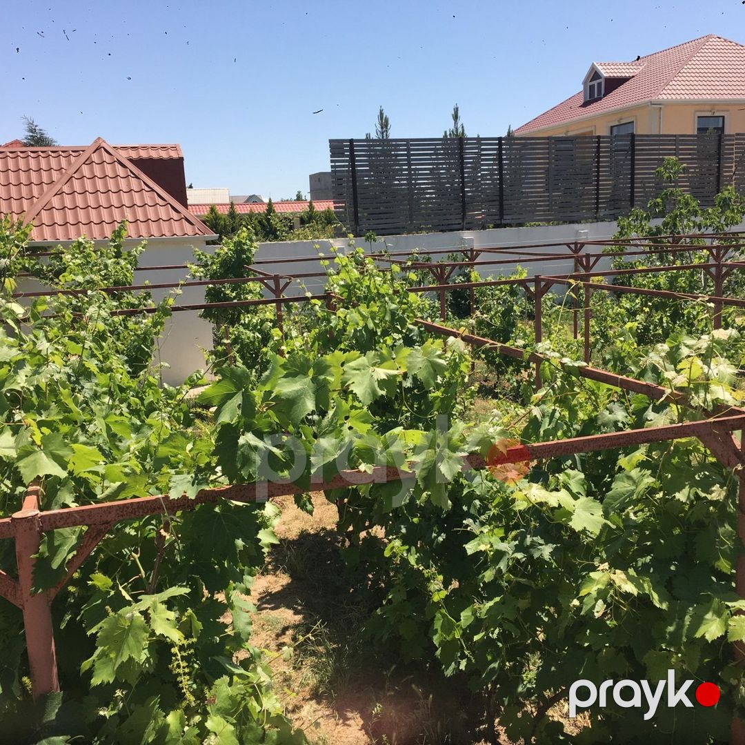Satılır torpaq 12 sot — Torpaq, Bakı (3)