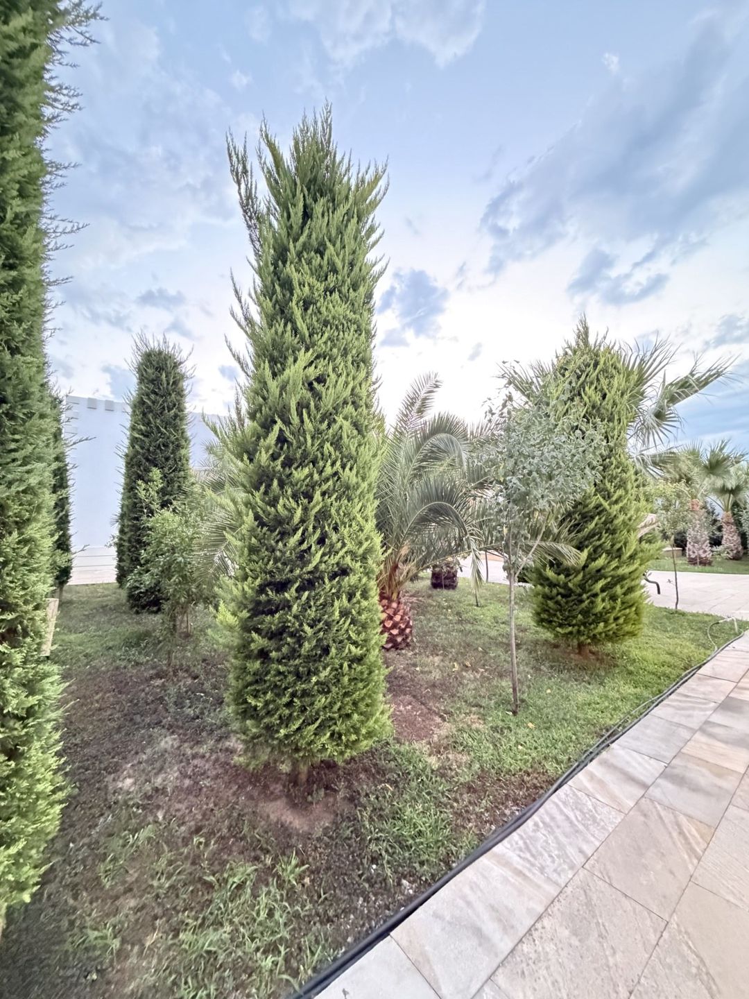 Satılır 6 otaqlı həyət evi/bağ evi 285 m² — Ev, villa, Bakı (3)