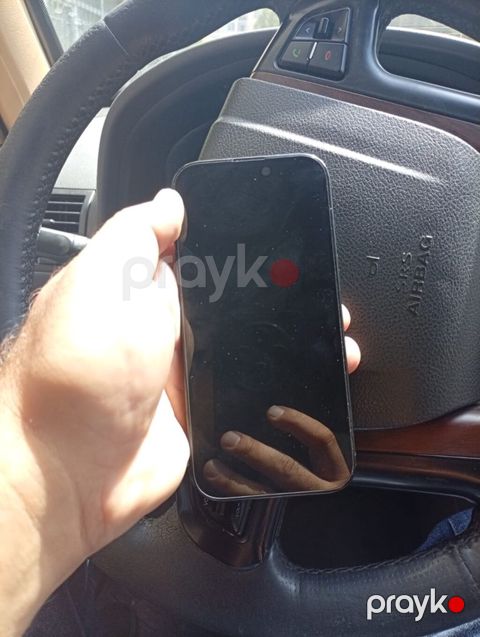 IPhone 16 Pro, Qara