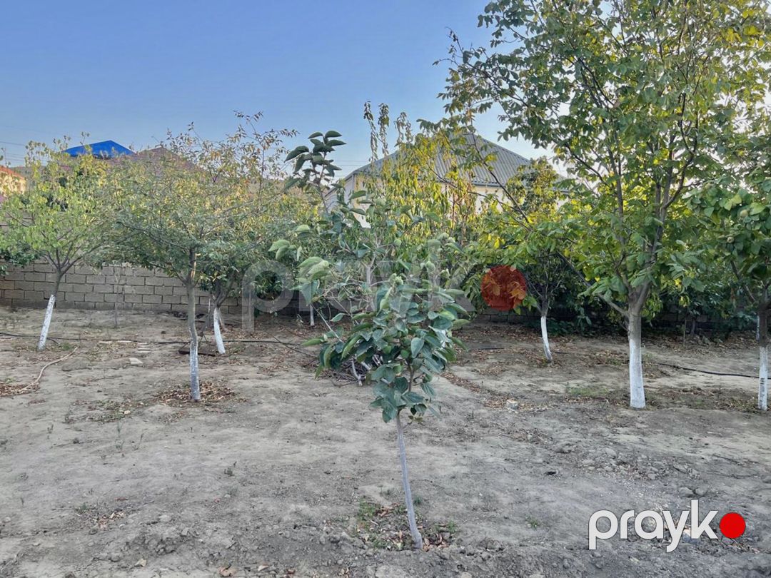 Satılır 5 otaqlı həyət evi/bağ evi 200 m² — Ev, villa, Bakı (6)