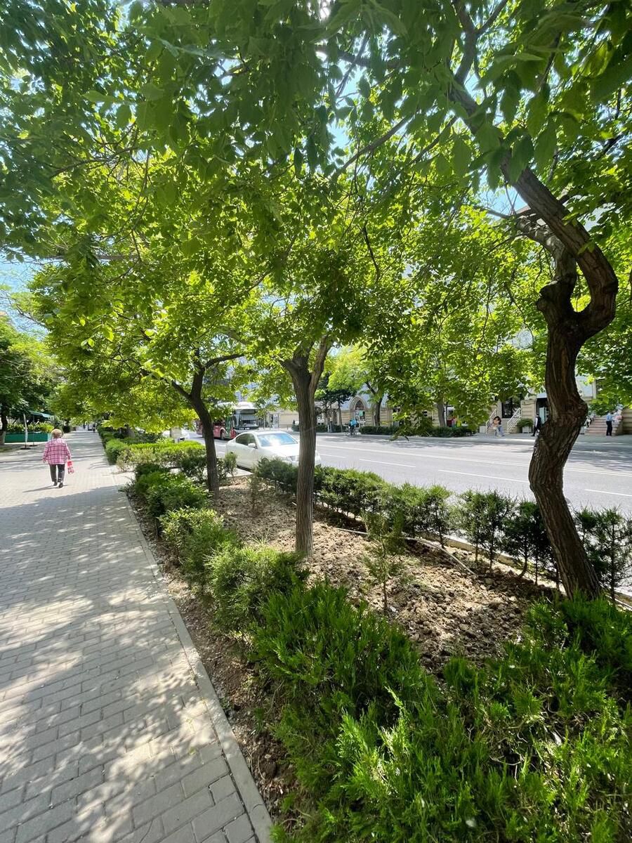 Satılır obyekt 40 m² — Əmlak, Bakı (3)