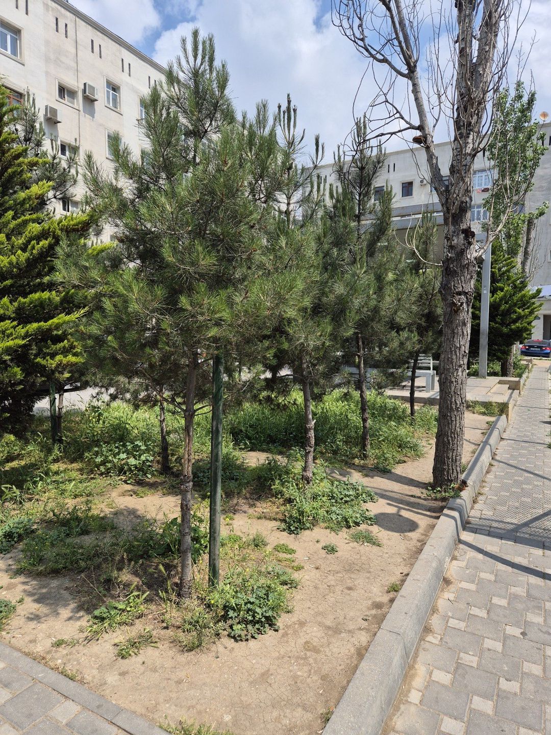 Satılır 2 otaqlı köhnə tikili 52 m² — Mənzil, Bakı (9)