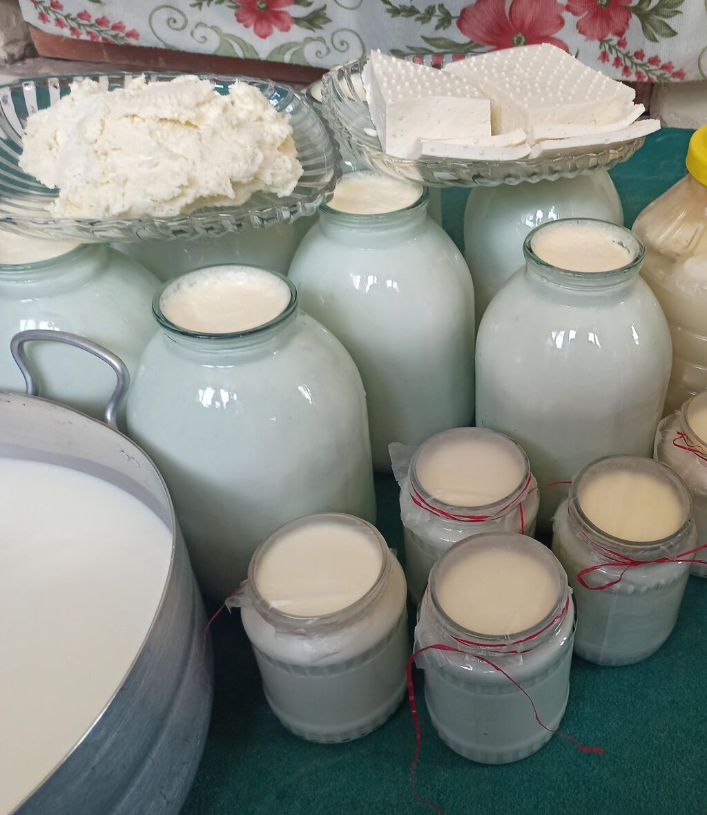 1 ltr --1 m 50 qəpik ( Süd ) 3 kq balon --4 m 50 qəpik (qatiq) 600 qr — Qida məhsulları, Bakı (6)