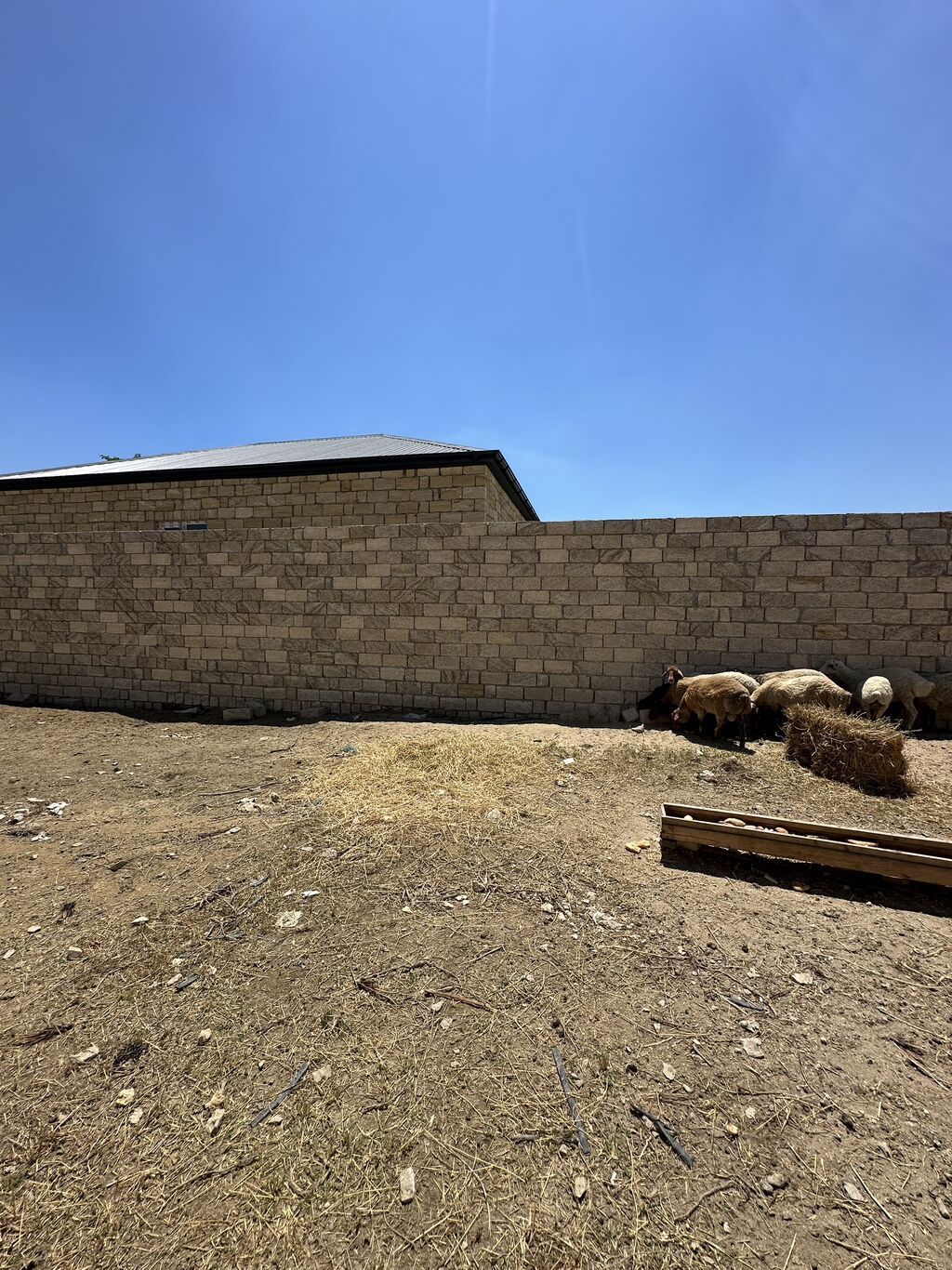 3 sot, Tikinti, Mülkiyyətçi, Kupça (Çıxarış), Texniki pasport — Torpaq, Saray (6)