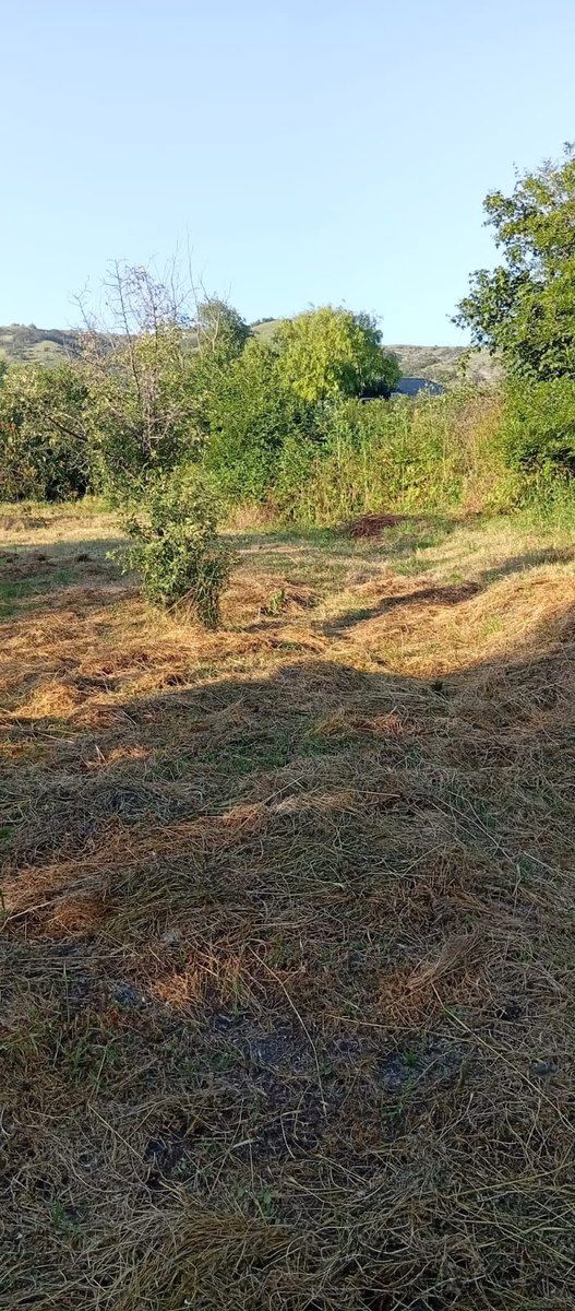 27 sot torpaq sahəsi, Xızı r. — Torpaq, Xızı (6)