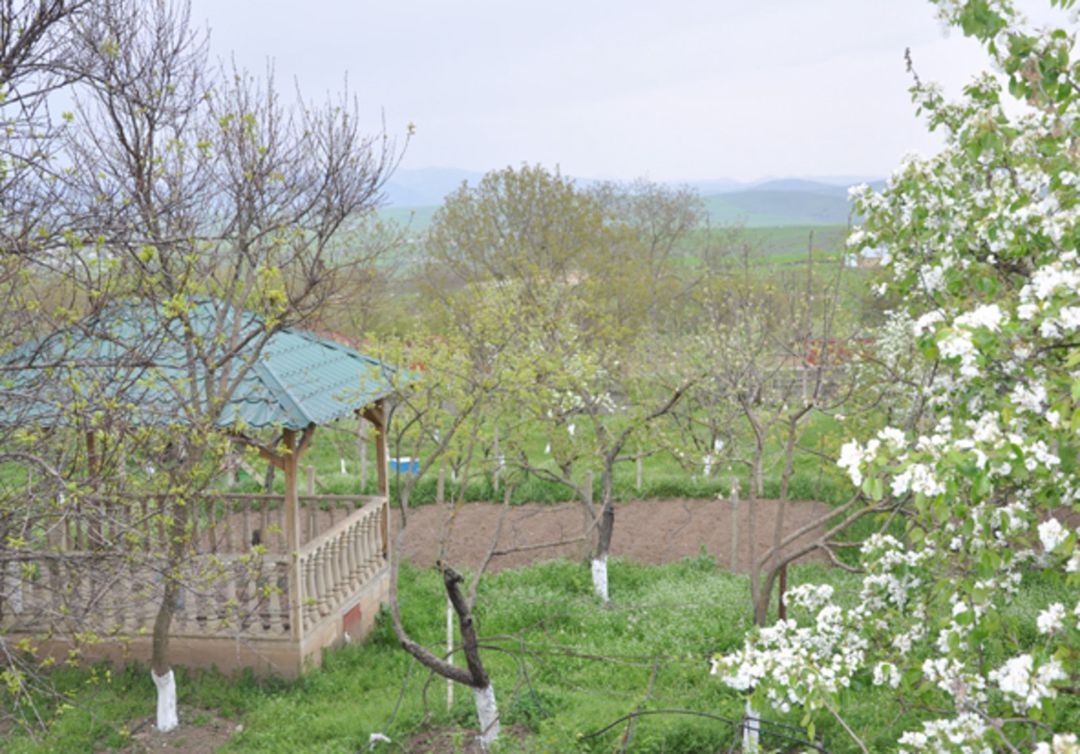 Bağ evi, Şamaxı r. — Daşınmaz əmlak, Şamaxı (8)