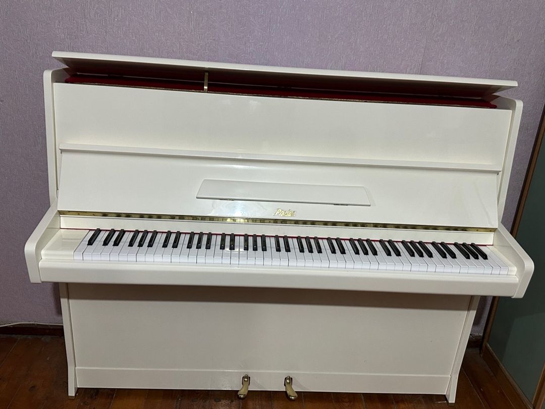 Pianinolar — Musiqiə alətləri, Bakı (8)