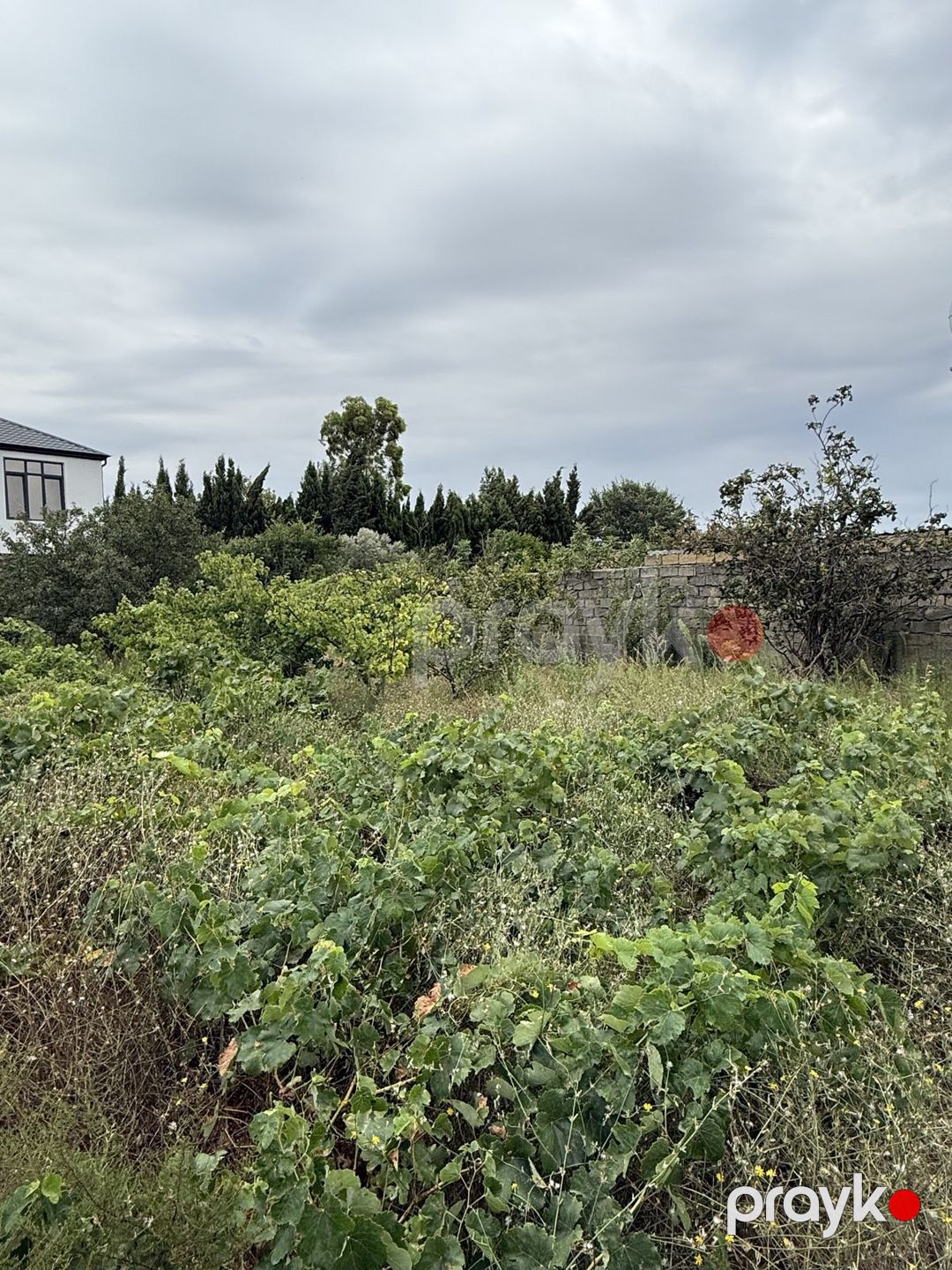 5.5 sot torpaq sahəsi, Fatmayı qəs. — Torpaq, Bakı (5)