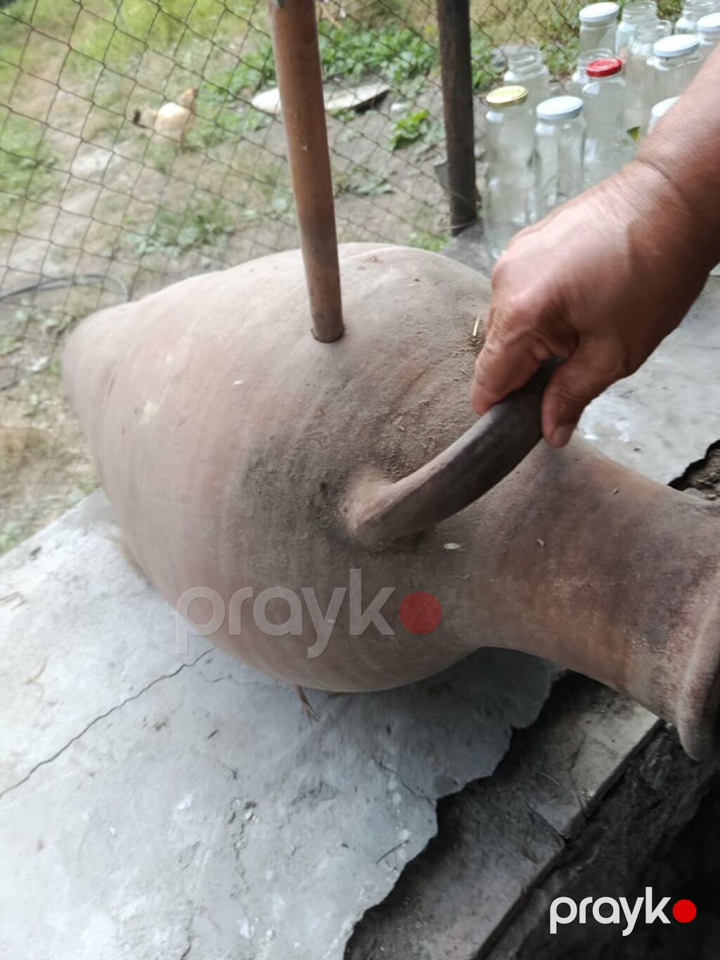 Böyük həcmli gil küp (amfora tipli) - Material: təbii gil, bişmiş — Mallar, Digah (3)
