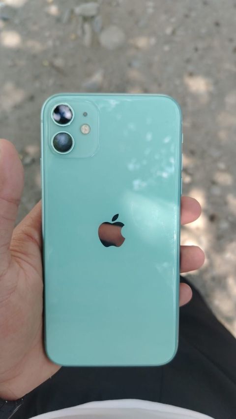 Apple iPhone 11 Green 128GB/4GB