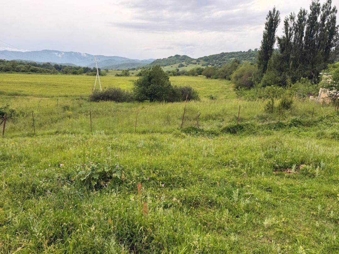 10 sot torpaq sahəsi, Şamaxı ş. — Torpaq, Şamaxı (2)