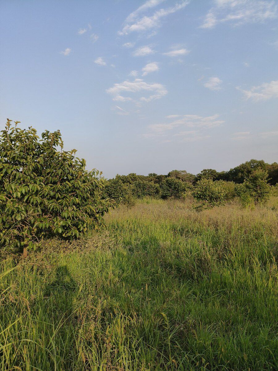 300 sot torpaq sahəsi, Xaçmaz ş. — Torpaq, Xaçmaz (10)